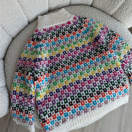 Easy Colour Sweater Junior
