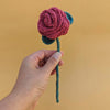 

Rose
1