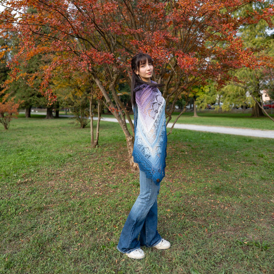 

Frozen Iris - Shawl
9