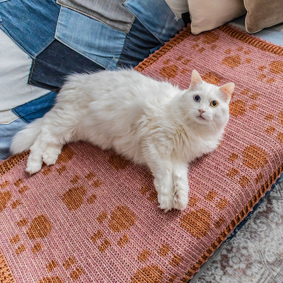 

Paw Prints On My Heart - Blanket
1