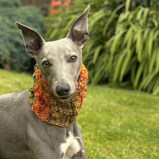 

Doggy Bobble - Snood
5