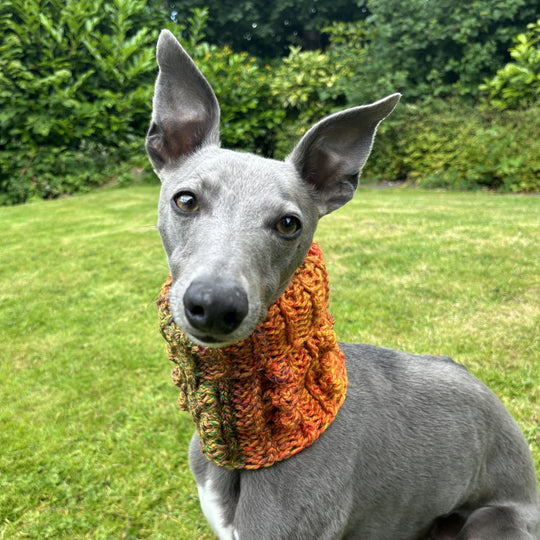 Doggy Bobble - Snood