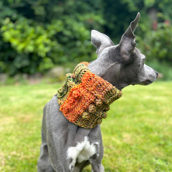 

Doggy Bobble - Snood
3