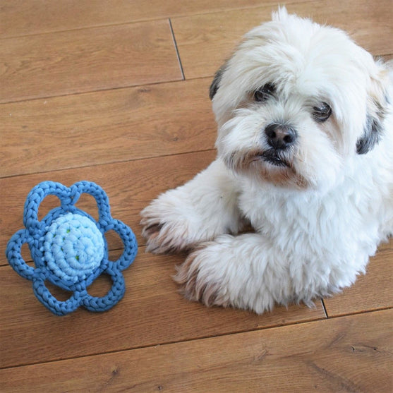 

Flower – Dog Toy
2