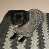 

Flemming Dog Sweater
2