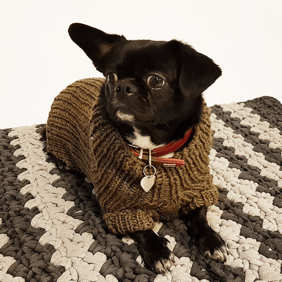 

Flemming Dog Sweater
1