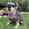 

Cuddly Wrap - Dog’s Bandana
1