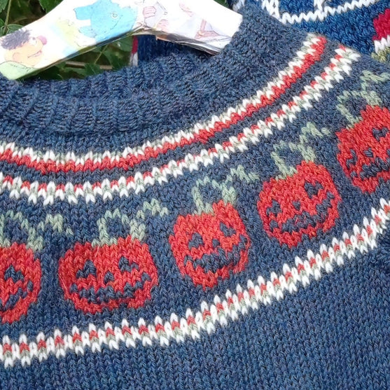

Pumpkins - Children’s Sweater
2
