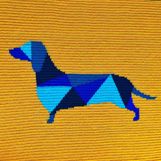 

Dachshund - Blanket
2