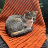 

Braid Plaid - Blanket
2
