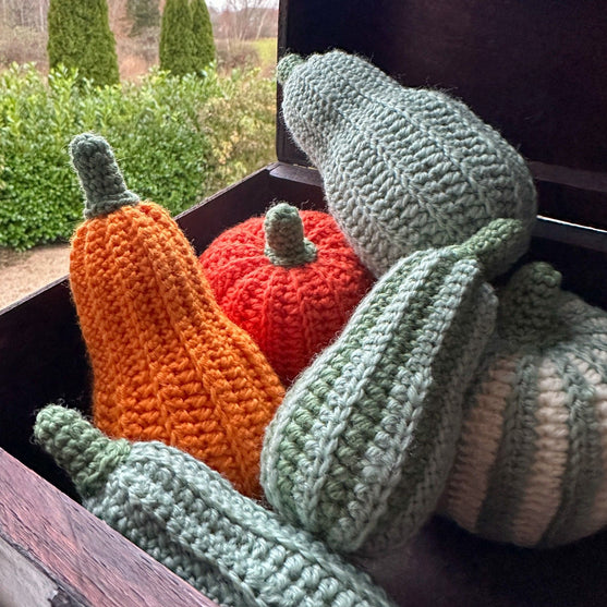

Decorative Pumpkins - Oblong
1