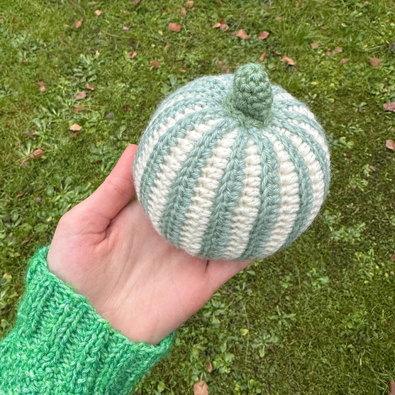 

Decorative Pumpkins - Round
7