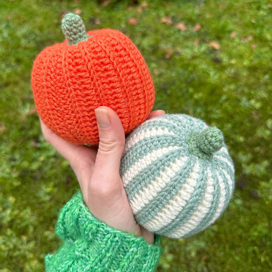 

Decorative Pumpkins - Round
6