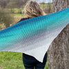 

Next Step - Shawl
4