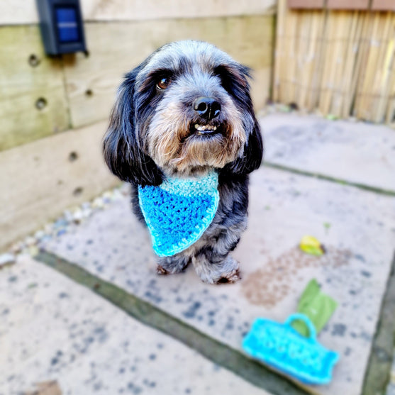 

Alfie - Bandana & Matching Poop Bag Holder
5