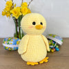 

Easter Chick Pip
2