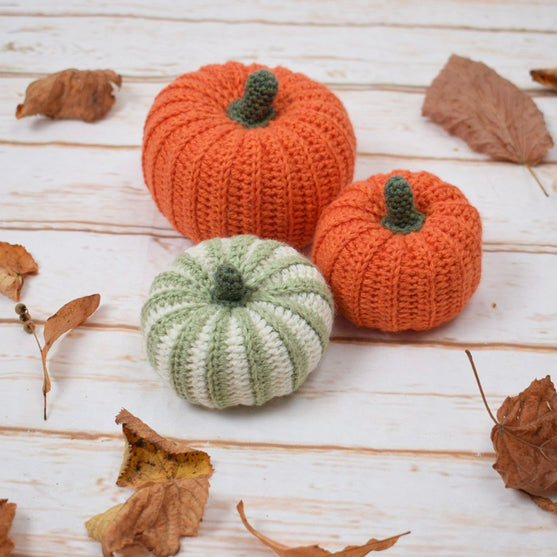

Decorative Pumpkins - Round
2