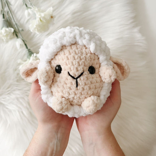Shelby Sheep