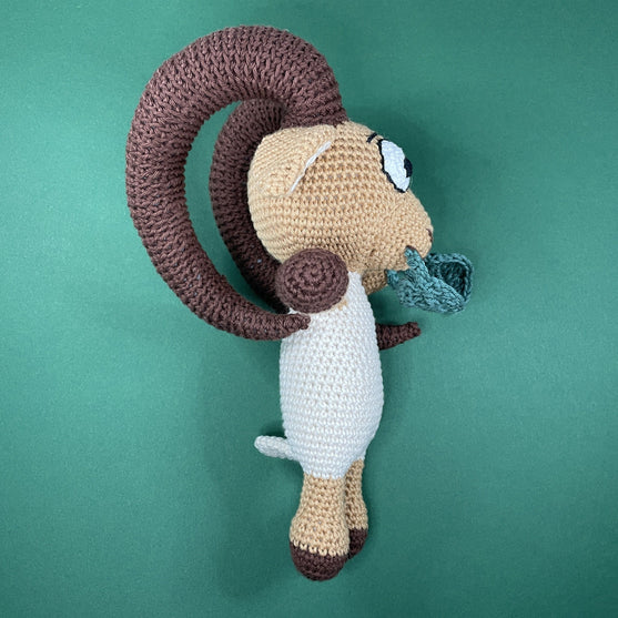 

Aries - Zodiac Sign
2