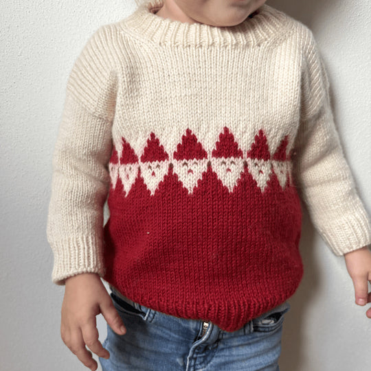 Easy Santa Sweater Junior