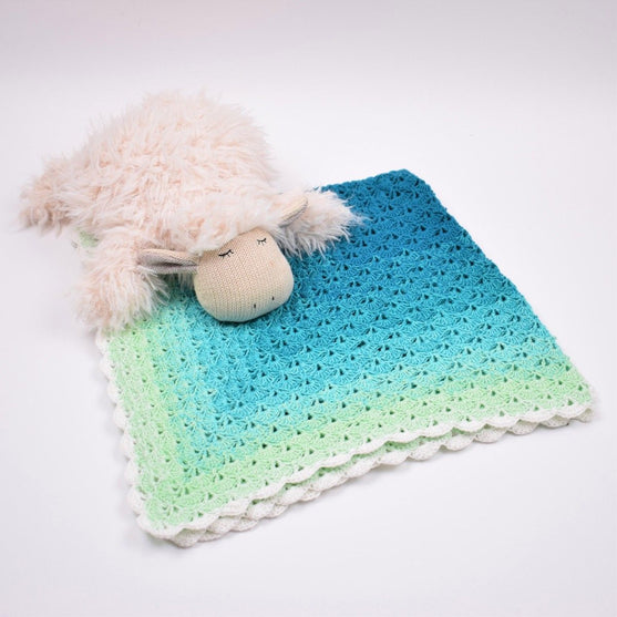 

Deluxe Baby Blanket
7